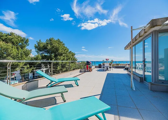 Albufera Can Picafort (Mallorca)